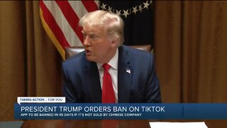 Michiganders react to President Trump's order banning TikTok, WeChat in 45 days