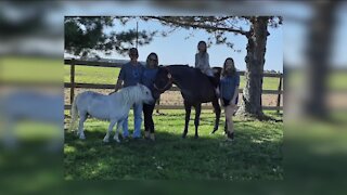 6-year-old girl's dream to own a horse comes true
