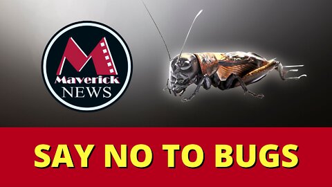 Maverick News: "Just Say No To Bugs"