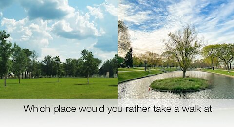 Which place would you rather take a walk at