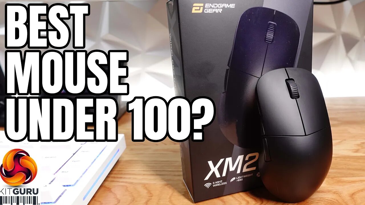 ENDGAMEGEAR XM2we Wireless Mouse Review