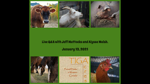 LIVE Q&A with Jeff Mattocks and Alyssa Walsh, January 13th, 2021