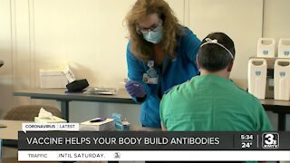 Vaccine helps your body build antibodies