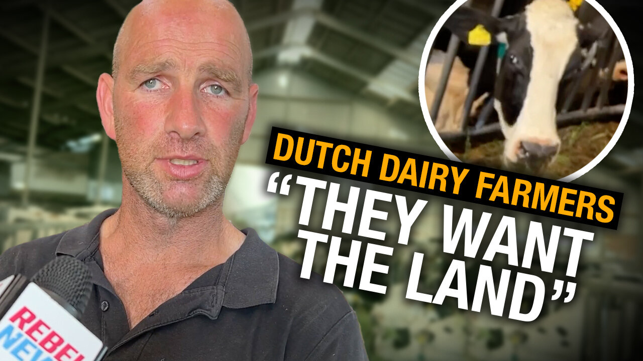INTERVIEW: Dutch dairy farmer explains the impact of government's radical green agenda