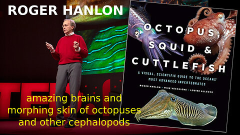 Roger Hanlon - The amazing brains and morphing skin of octopuses and other cephalopods