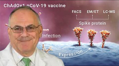 Dr. 'Paul Marik' On The Damage From 'Covid-19' Vaccines & Unnatural 'Spike Protein' Shedding