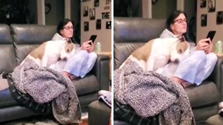 Dog trades in owner for her girlfriend