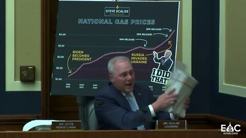 Republican Whip Steve Scalise speaks at House Committee on Energy and Commerce Hearing