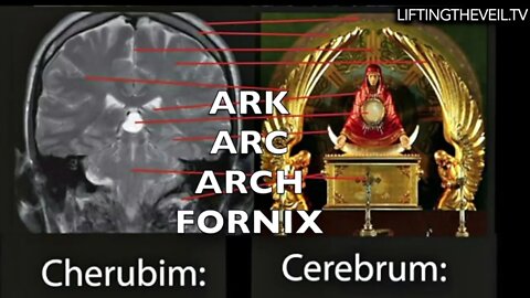 Symbols of Power 2.1: Vault of Heaven, Ark of the Covenant, & Human Brain- Lifting The Veil