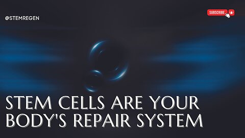 Stem Cells Are Your Body's Repair System