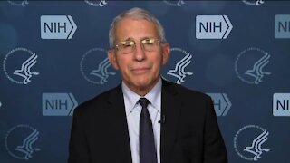 Fauci Claims The Enemy of Public Health is Disinformation