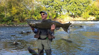 Milwaukee River Salmon Fishing Fall 2021 (Short 3)