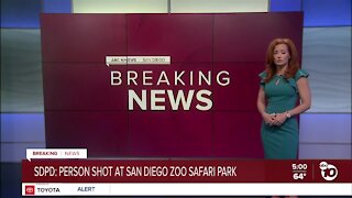 Shooting at San Diego Zoo Safari Park leaves 1 injured, SDPD investigating
