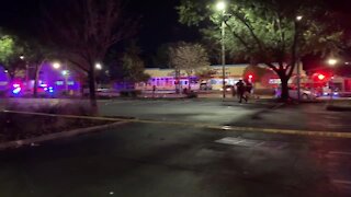 Tampa police investigate shooting
