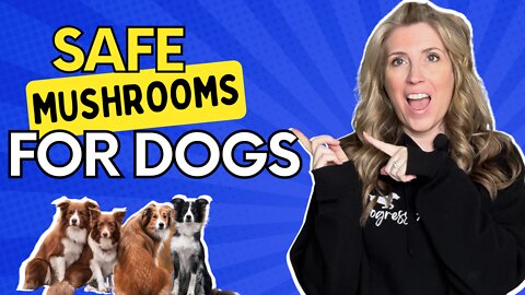 Are Mushrooms Safe for Dogs?
