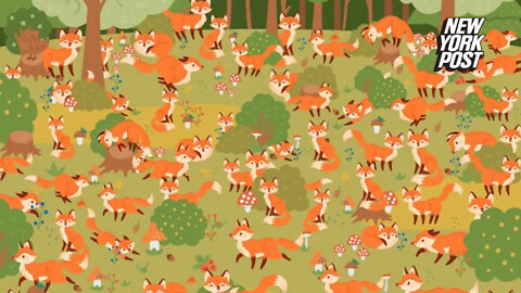 You're the record holder if you can spot the blue-eyed fox in this optical illusion in under 25 seconds