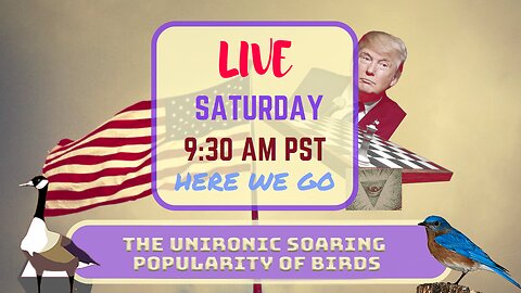 Saturday *LIVE* The Unironic Soaring Popularity of Birds
