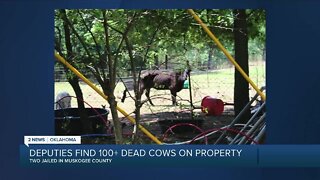 Deputies Find 100+ Dead Cows on Property