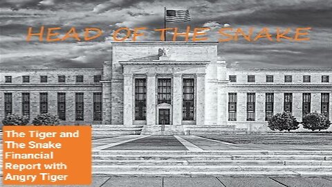 The Tiger and the Snake Financial Report Featuring Gregory Mannarino