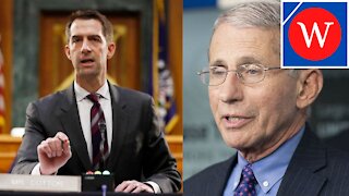 Tom Cotton: Fauci Needs To Be PROSECUTED For His Lies