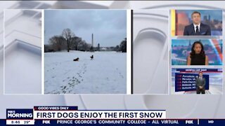 FOX 5 Leftist anchors Steve Chenevey & Jeannette Reyes drooled over Biden's dog playing in the snow