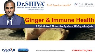 4 Ways How Ginger Affects the Immune System. A CytoSolve Systems Biology Analysis.