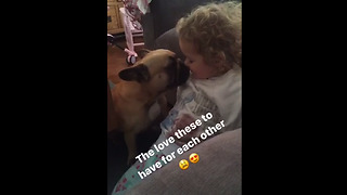 Frenchie and little girl share special moment