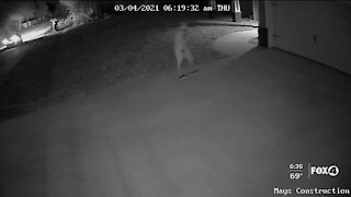 Deputies searching for man who stole equipment from a home