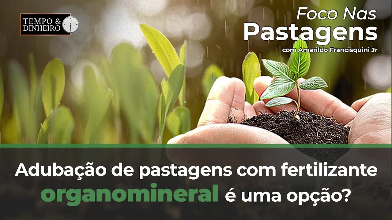 Foco nas Pastagens : Adubação de pastagens com fertilizante ...