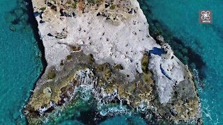 Rare drone view of the only fossil palm forest in Europe