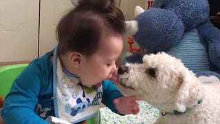 Dog and Baby are BFFs