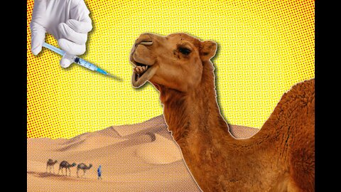 CHINA's NEW PANDEMIC, CAMEL BEAUTY PAGENTS and other news
