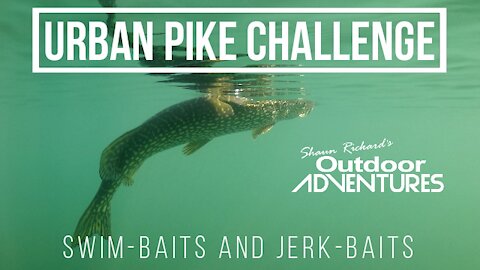 Pike fishing in Toronto, Ontario, Canada | Swim-baits and Jerk-baits