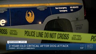 Two-year-old girl hospitalized after dog attack