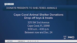 Cape Coral animal shelter to give out gifts to sheltered animals