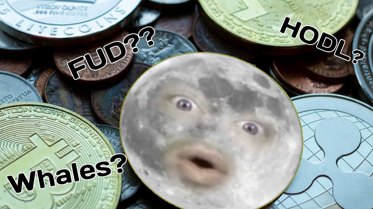 crypto terms fud