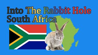 The Rabbit Hole - South Africa Part 1