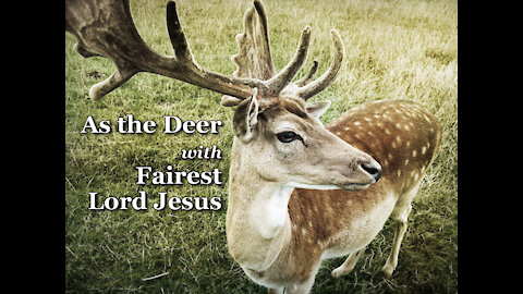 As The Deer with Fairest Lord Jesus - Piano Praise