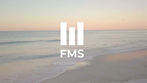 FMS - Free Non Copyright EDM Music #051