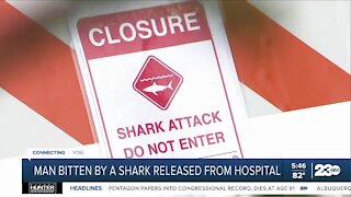 Man released from hospital after being bitten by shark