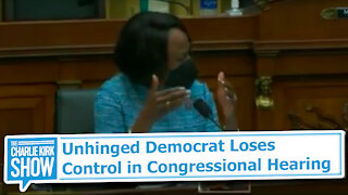 Unhinged Democrat Loses Control in Congressional Hearing