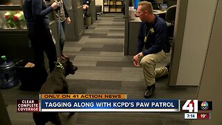 Tagging along with KCPD's Paw Patrol