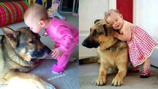 There's nothing greater than Dog and Baby-Baby Playing with German Shepherd Dog