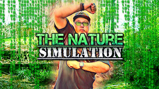 Dreaming of the Nature Simulation | Mother Earth