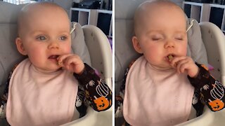 Tired Baby Goes Into Sleep Mode While Eating Snack