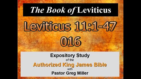 016 Leviticus 11:1-47 (Leviticus Studies)