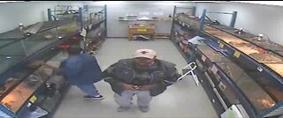 Surveillance shows people stealing python from Pet World