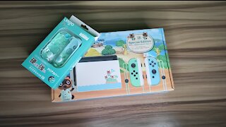 Animal Crossing Nintendo Switch Special Edition Unboxing & Review
