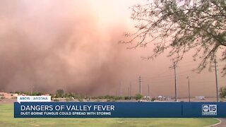 Storms spreading fungus that could cause Valley Fever
