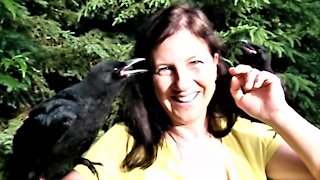 Rescued baby crows captured the hearts of a veterinarian and her family